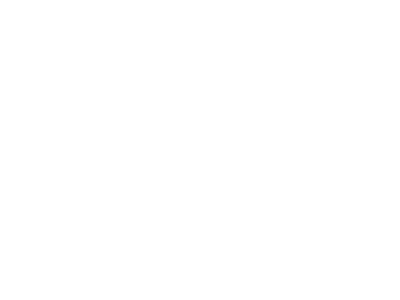 foodtruck la minitalie lille